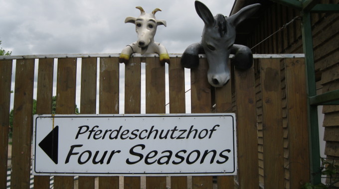 Besuch Des Pferdeschutzhofes „Four Seasons“ Am 14.05.2016